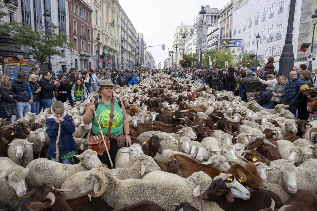 Fiesta de la Trashumancia 2026